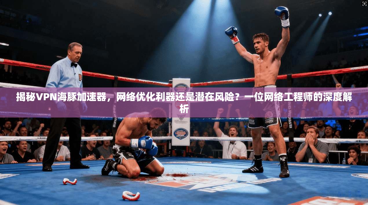 揭秘VPN海豚加速器，网络优化利器还是潜在风险？一位网络工程师的深度解析
