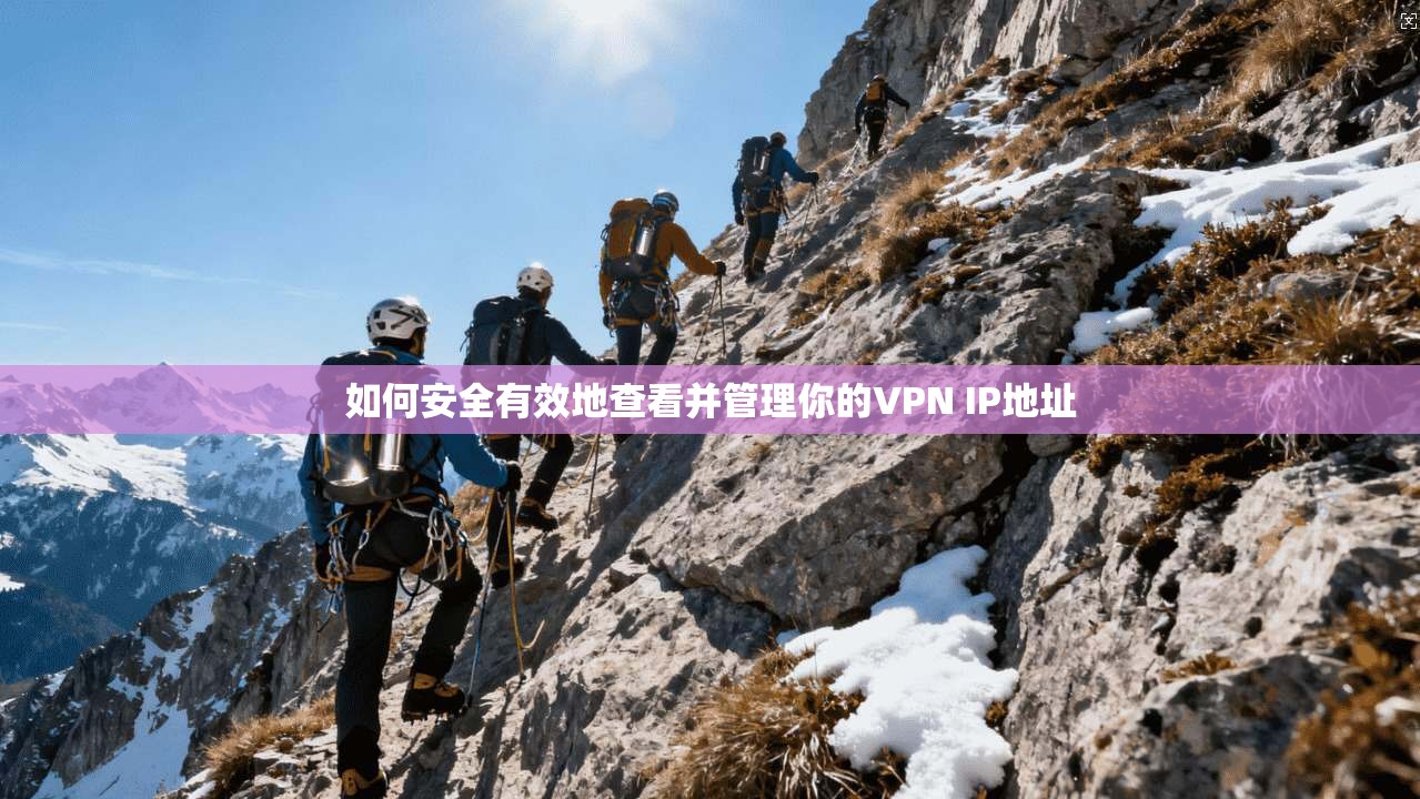 如何安全有效地查看并管理你的VPN IP地址