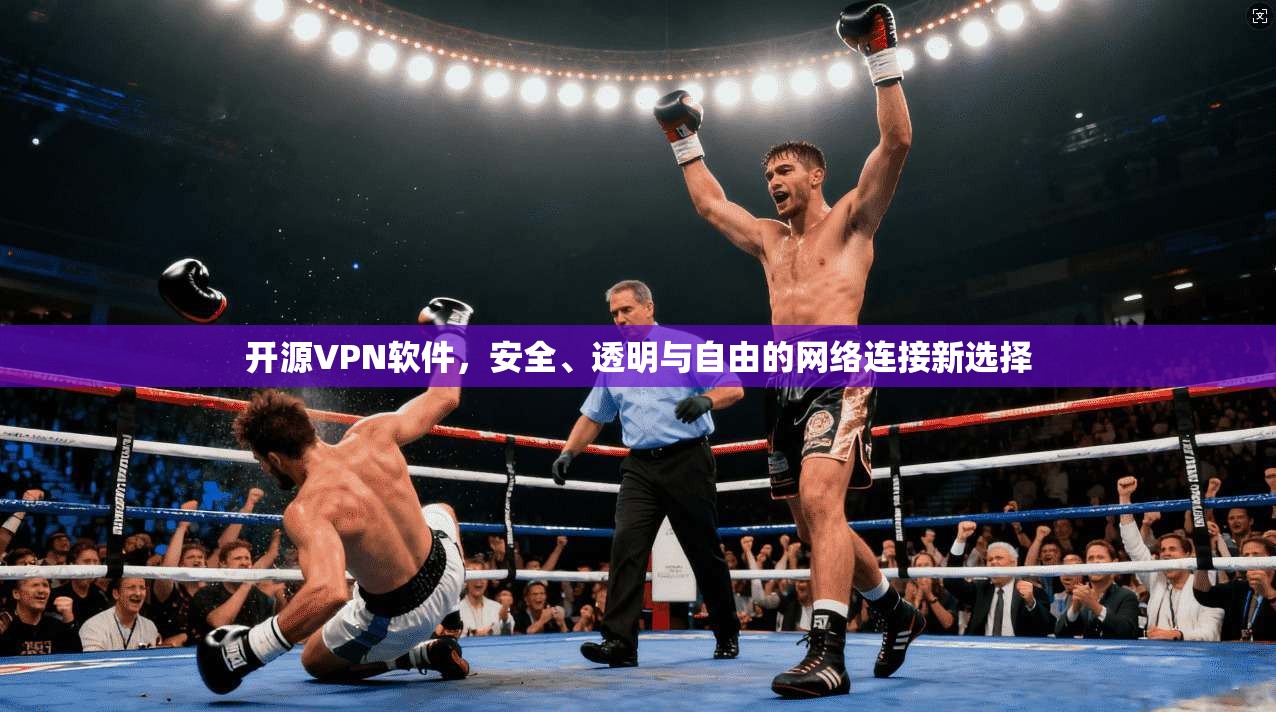 开源VPN软件，安全、透明与自由的网络连接新选择