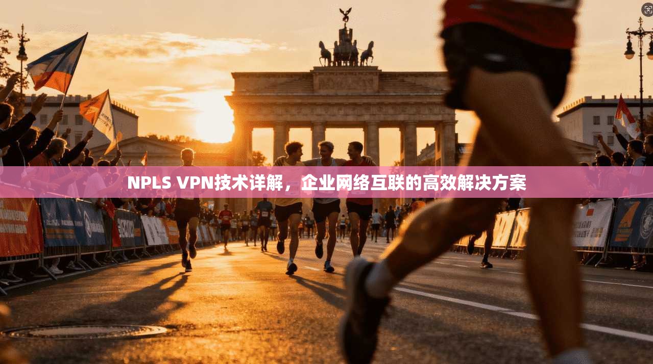NPLS VPN技术详解，企业网络互联的高效解决方案