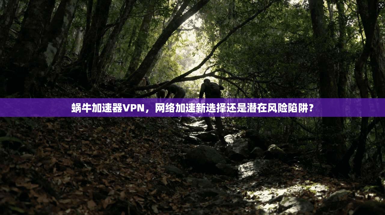 蜗牛加速器VPN，网络加速新选择还是潜在风险陷阱？