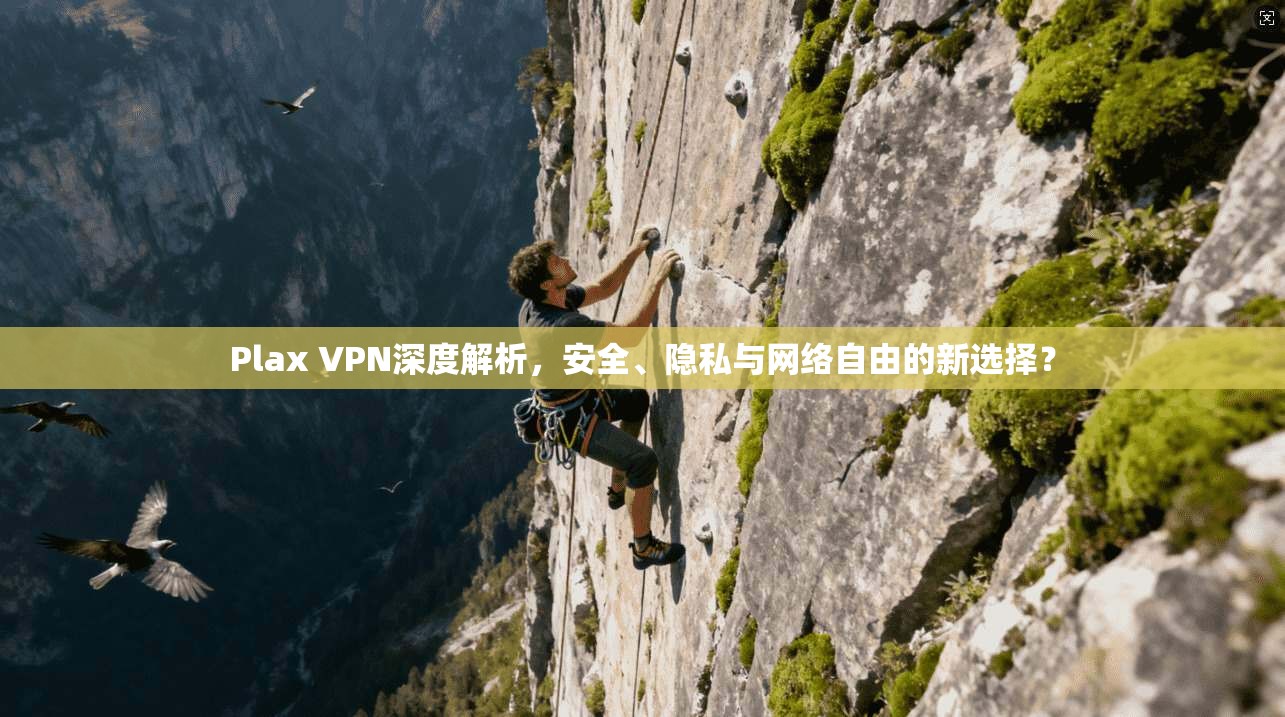 Plax VPN深度解析，安全、隐私与网络自由的新选择？