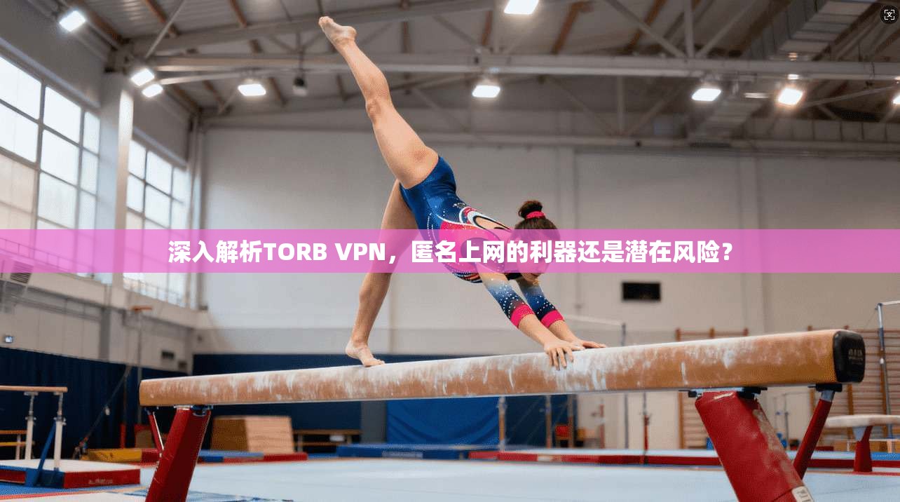 深入解析TORB VPN，匿名上网的利器还是潜在风险？