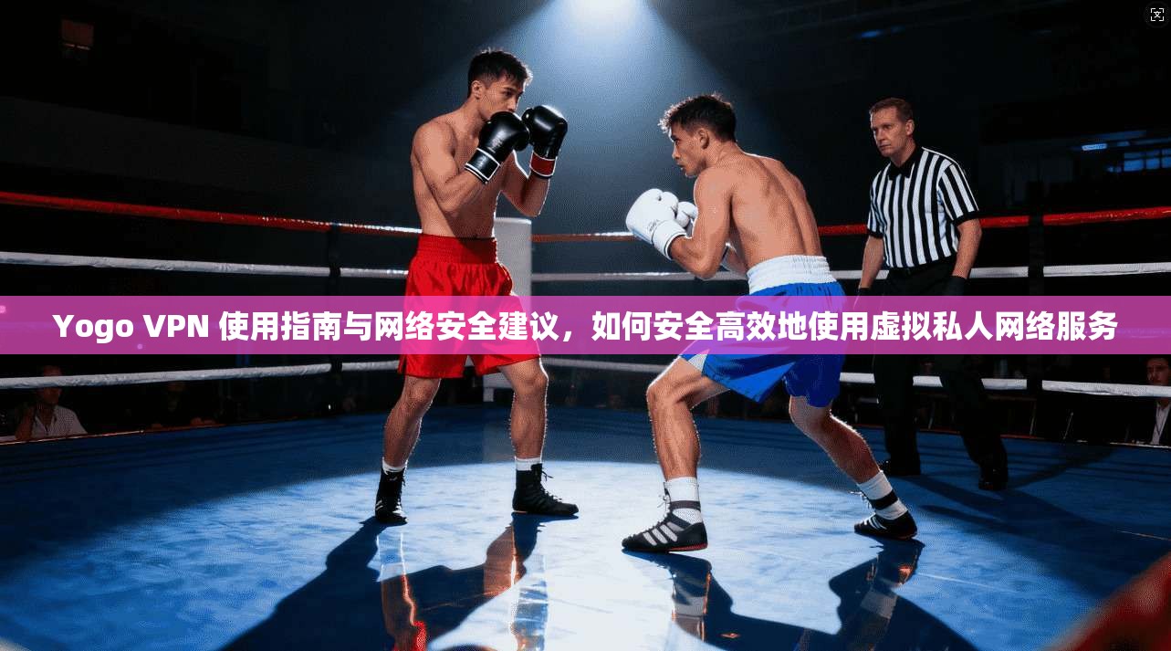 Yogo VPN 使用指南与网络安全建议，如何安全高效地使用虚拟私人网络服务