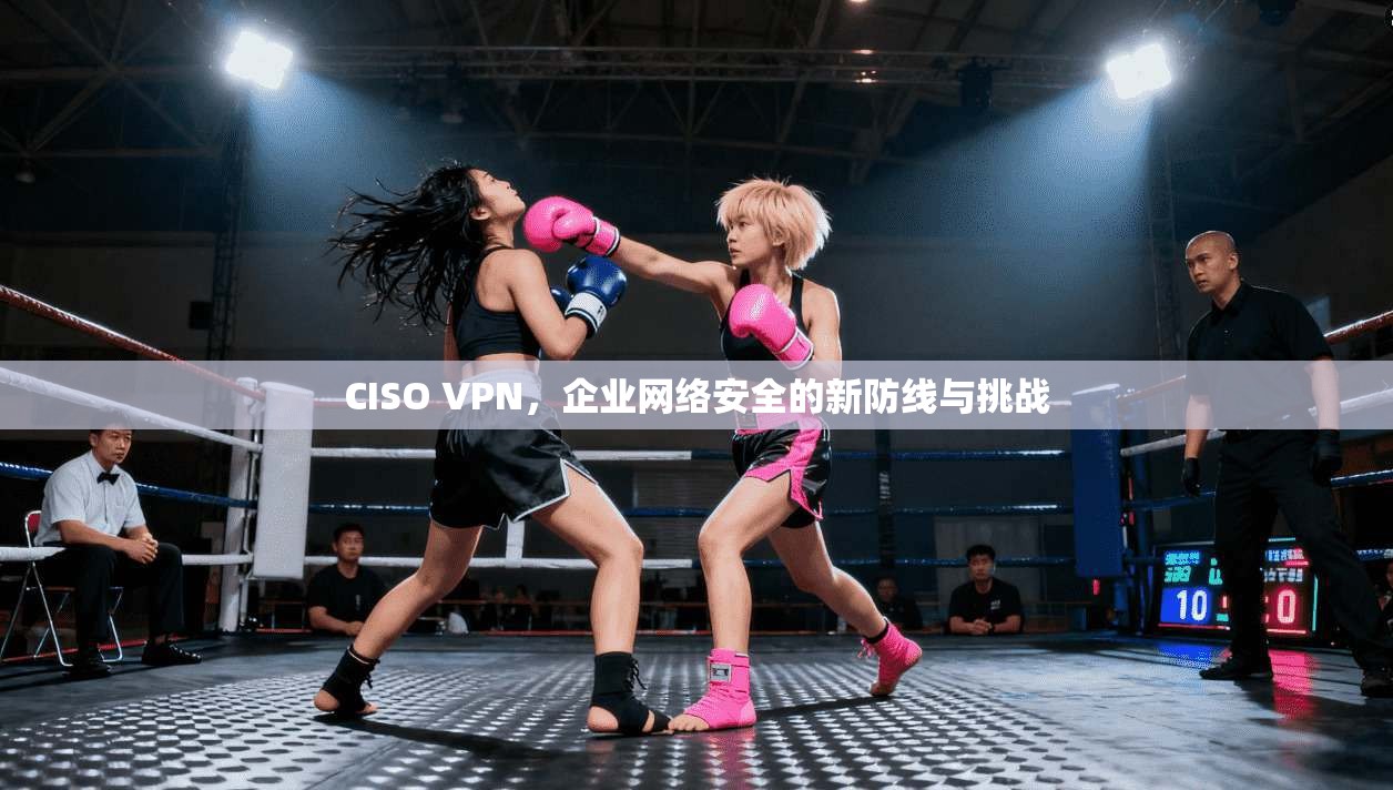CISO VPN，企业网络安全的新防线与挑战