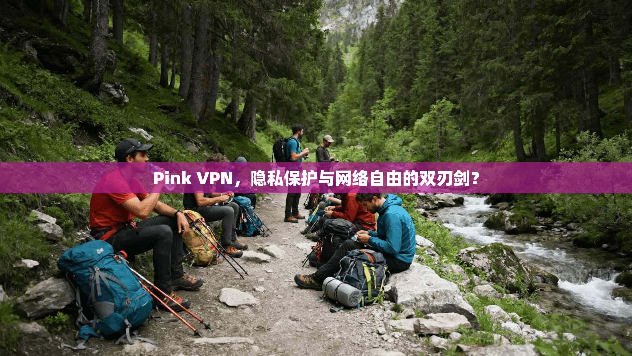 Pink VPN，隐私保护与网络自由的双刃剑？