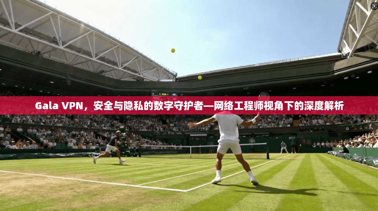 Gala VPN，安全与隐私的数字守护者—网络工程师视角下的深度解析