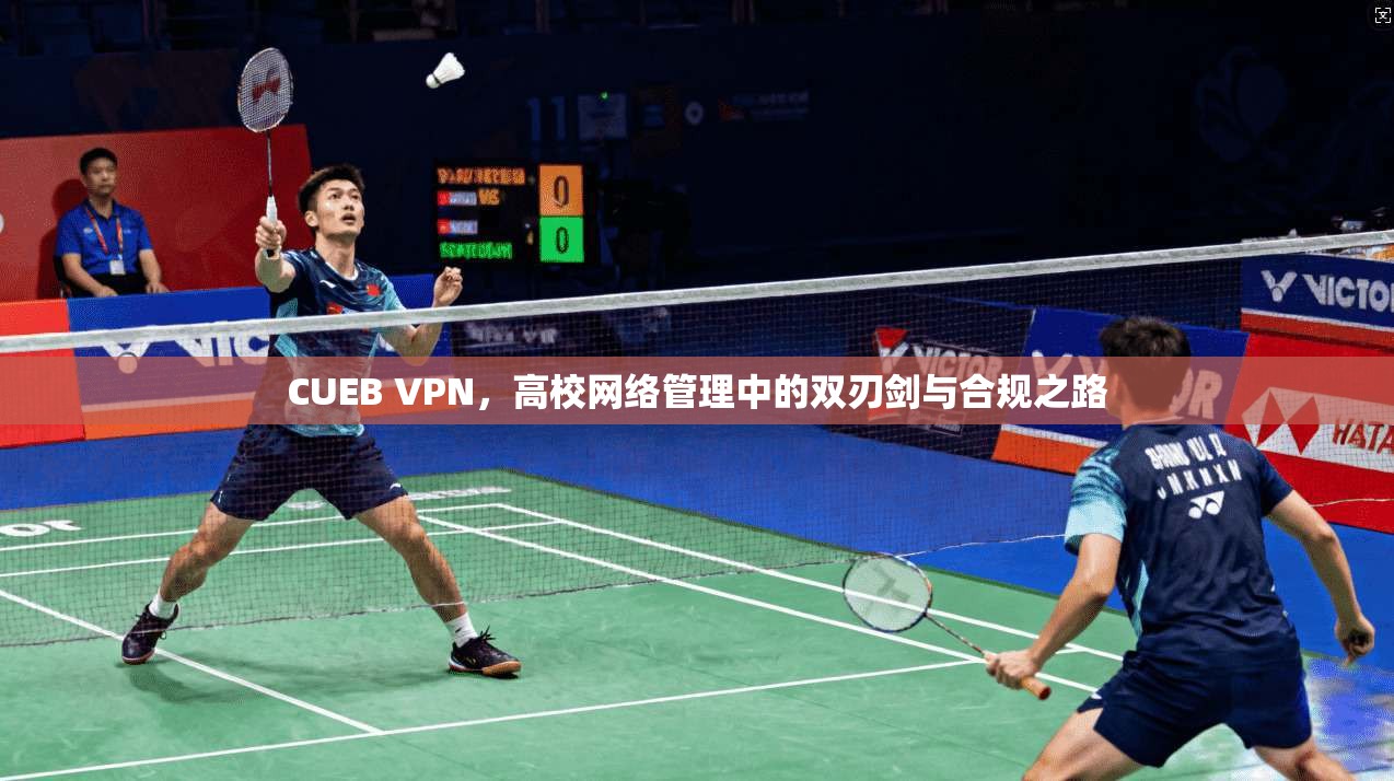 CUEB VPN，高校网络管理中的双刃剑与合规之路