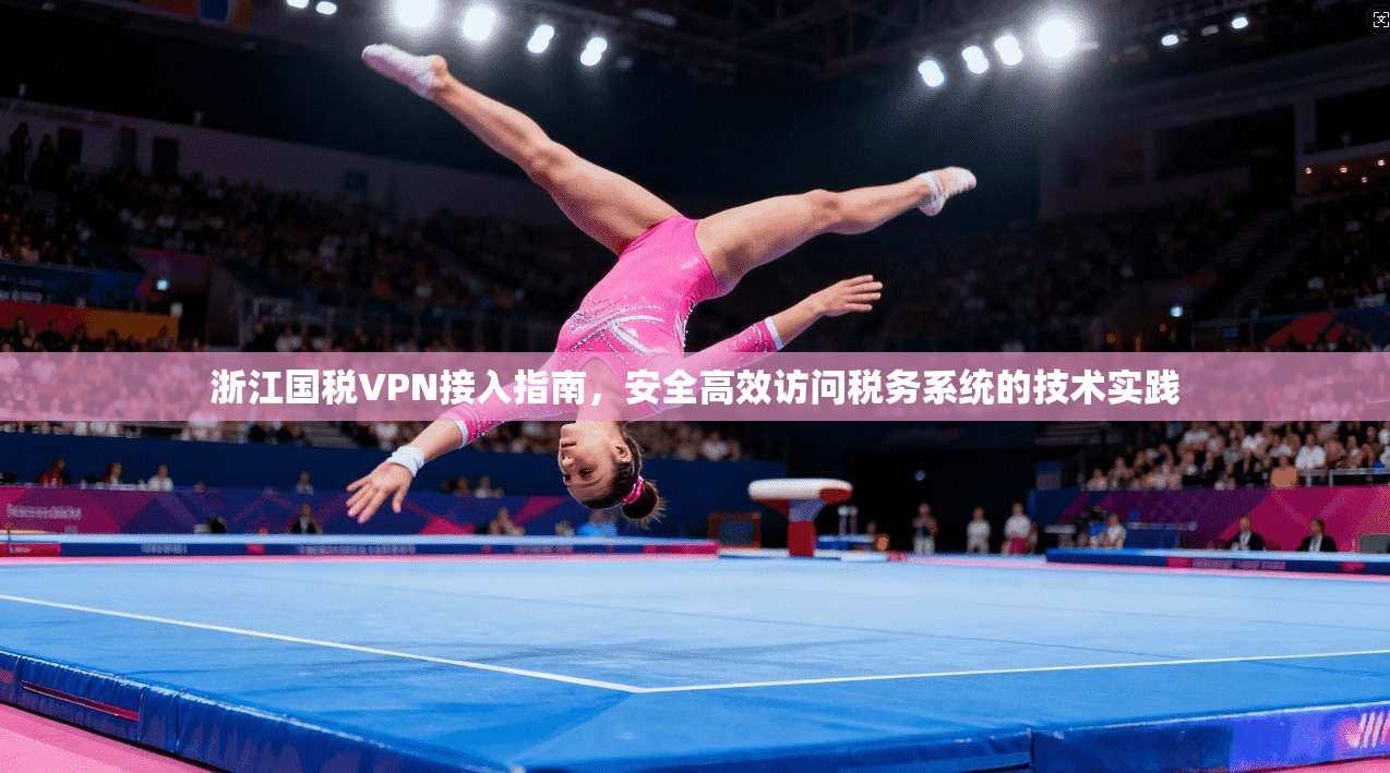 浙江国税VPN接入指南,安全高效访问税务系统的技术实践