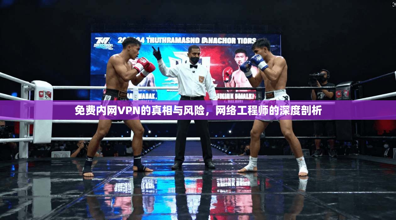 免费内网VPN的真相与风险，网络工程师的深度剖析