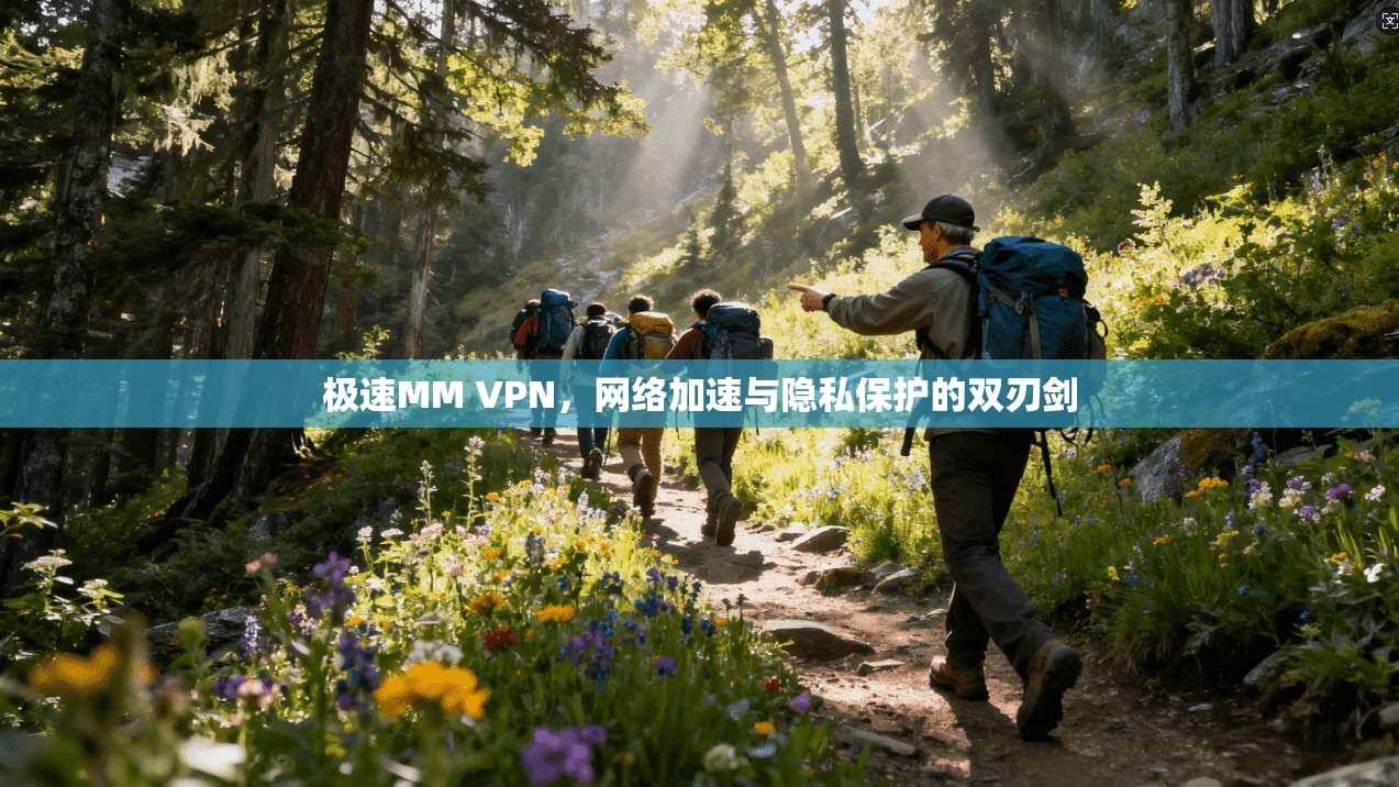 极速MM VPN,网络加速与隐私保护的双刃剑