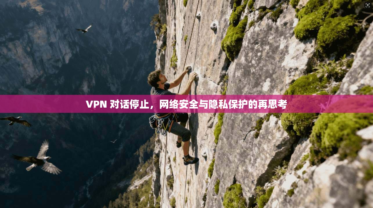 VPN 对话停止，网络安全与隐私保护的再思考