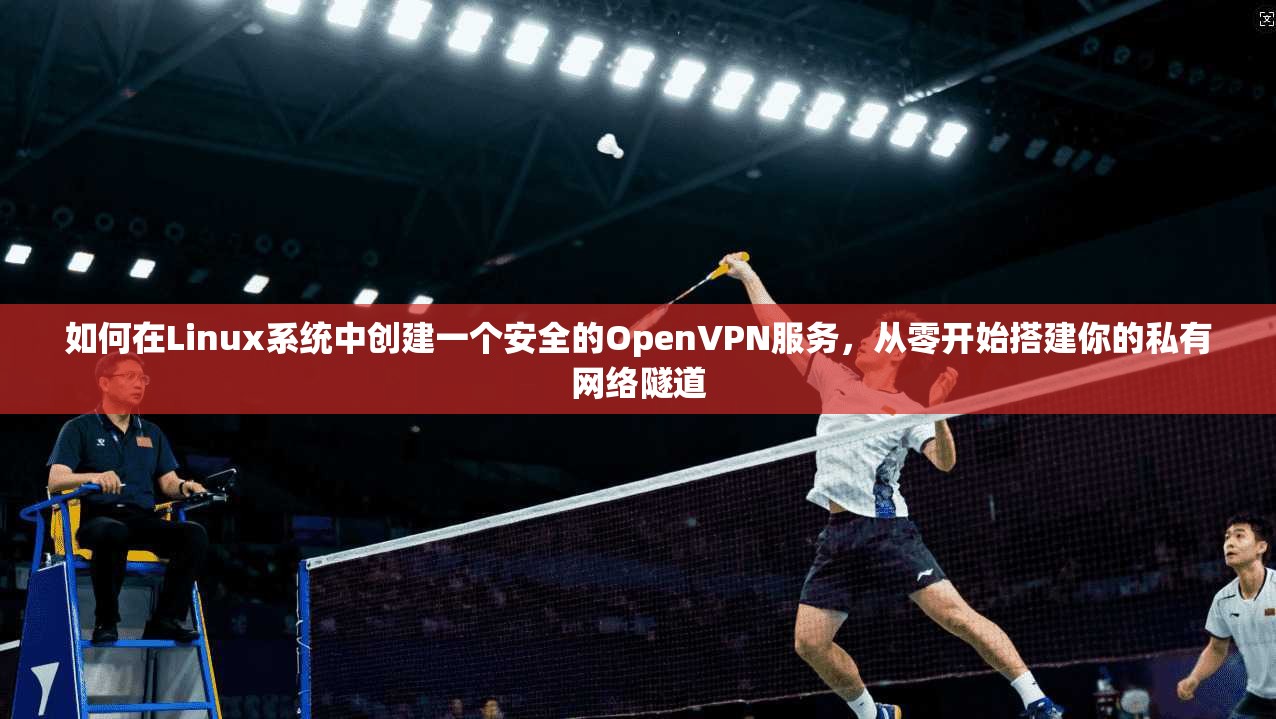 如何在Linux系统中创建一个安全的OpenVPN服务,从零开始搭建你的私有网络隧道