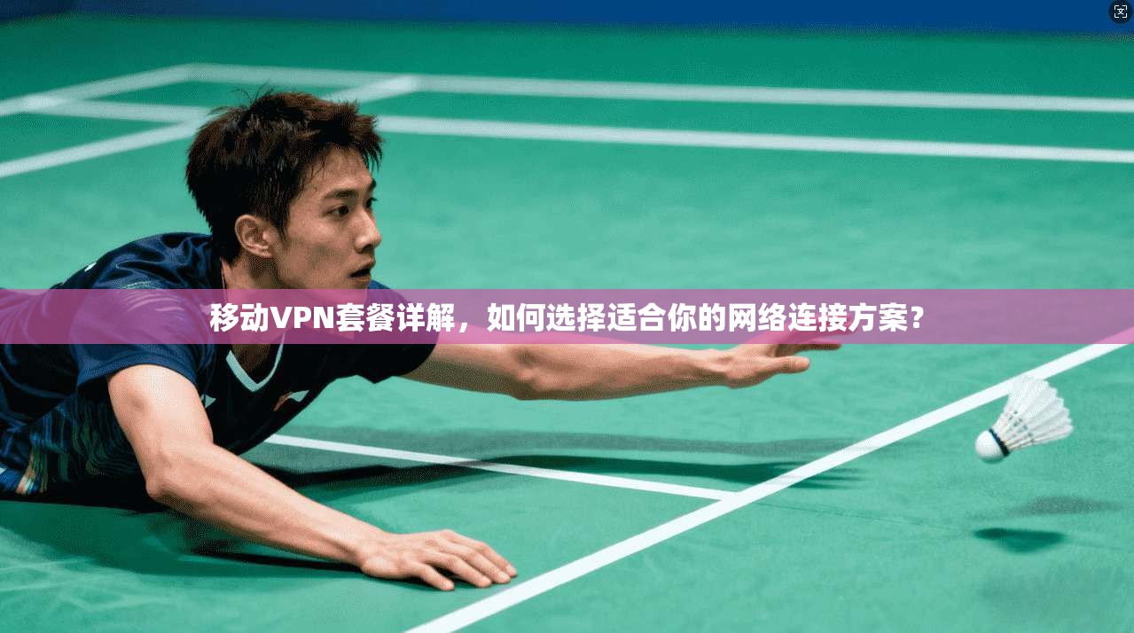 移动VPN套餐详解,如何选择适合你的网络连接方案?