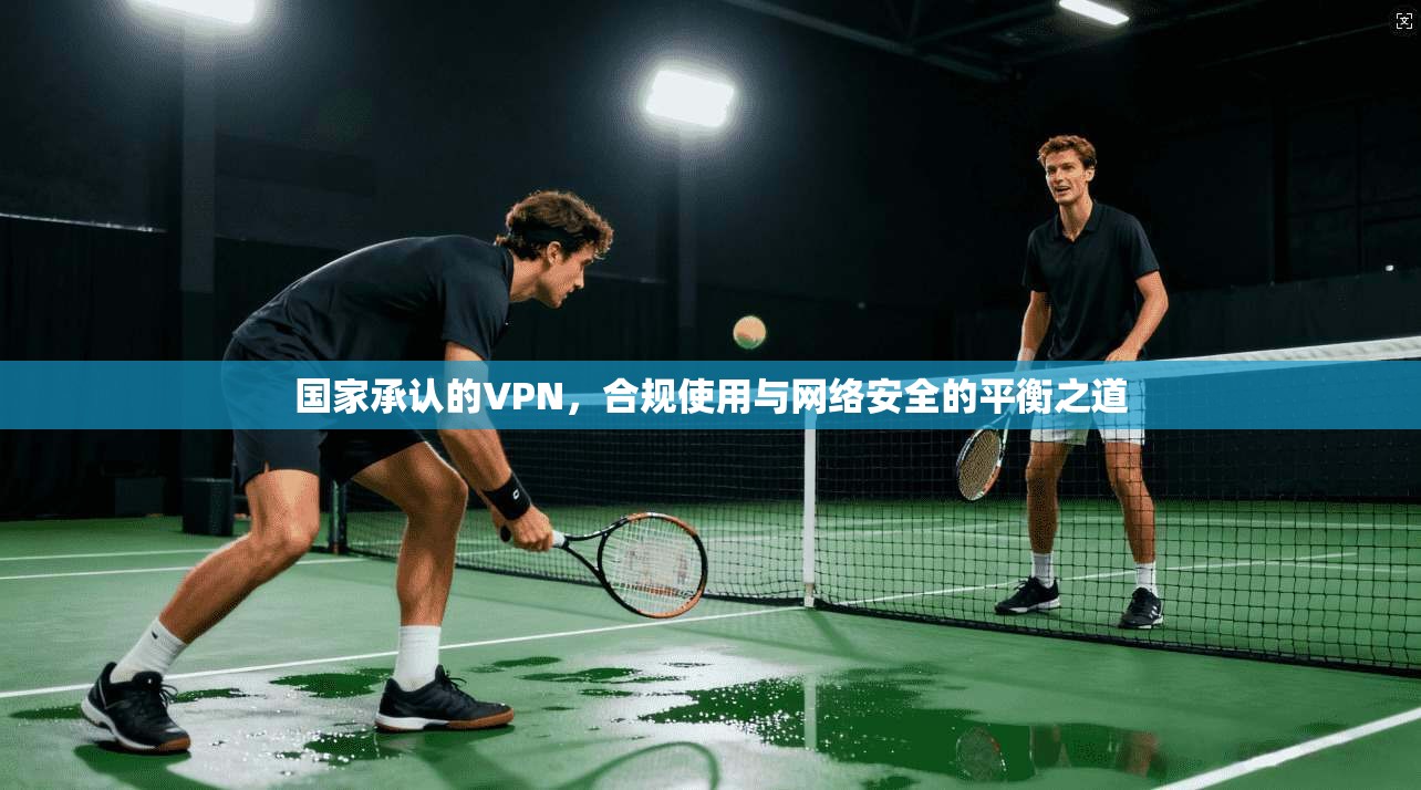 国家承认的VPN，合规使用与网络安全的平衡之道
