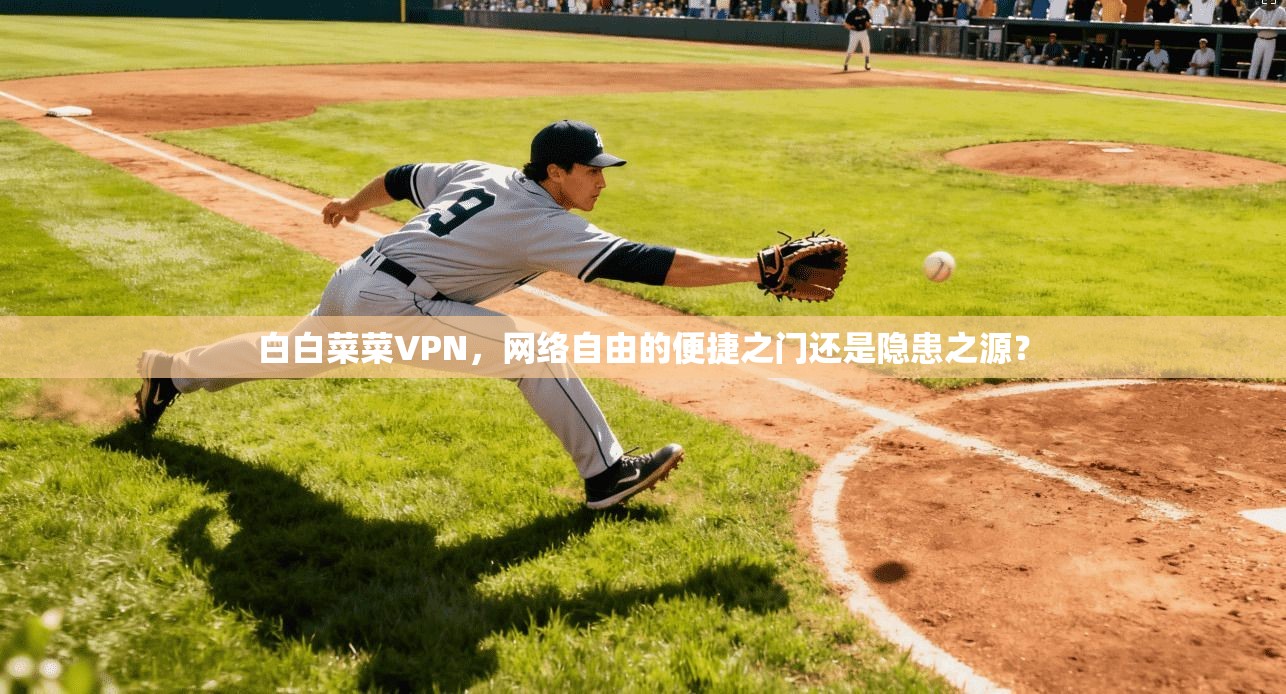 白白菜菜VPN，网络自由的便捷之门还是隐患之源？