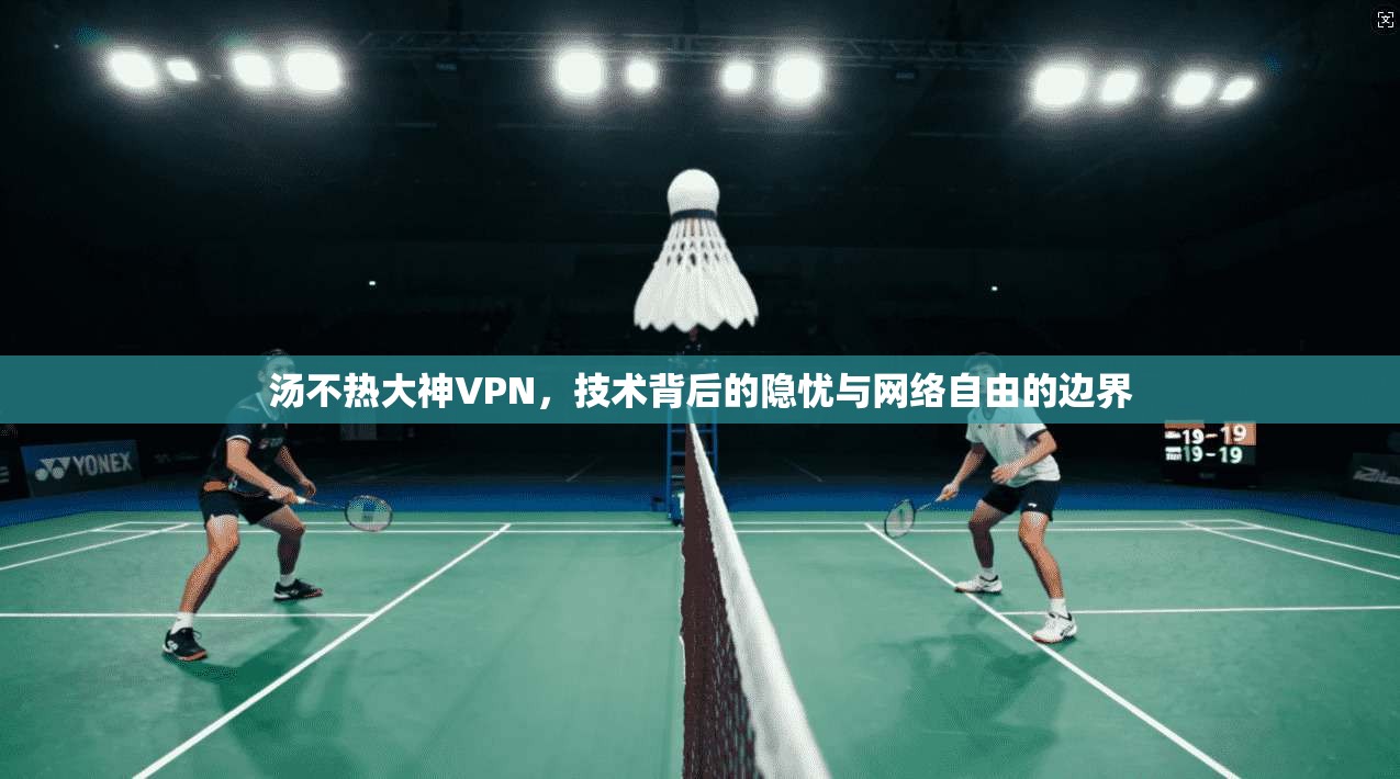 汤不热大神VPN，技术背后的隐忧与网络自由的边界