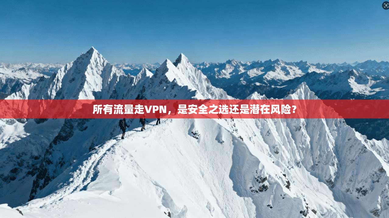 所有流量走VPN，是安全之选还是潜在风险？