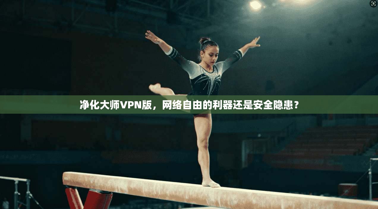 净化大师VPN版，网络自由的利器还是安全隐患？
