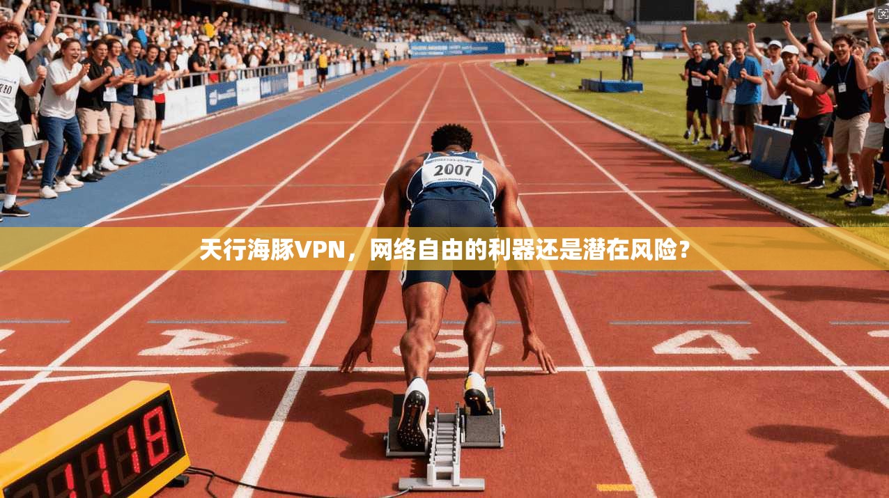 天行海豚VPN,网络自由的利器还是潜在风险?