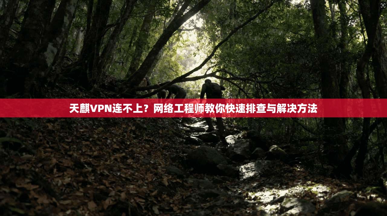 天麒VPN连不上？网络工程师教你快速排查与解决方法