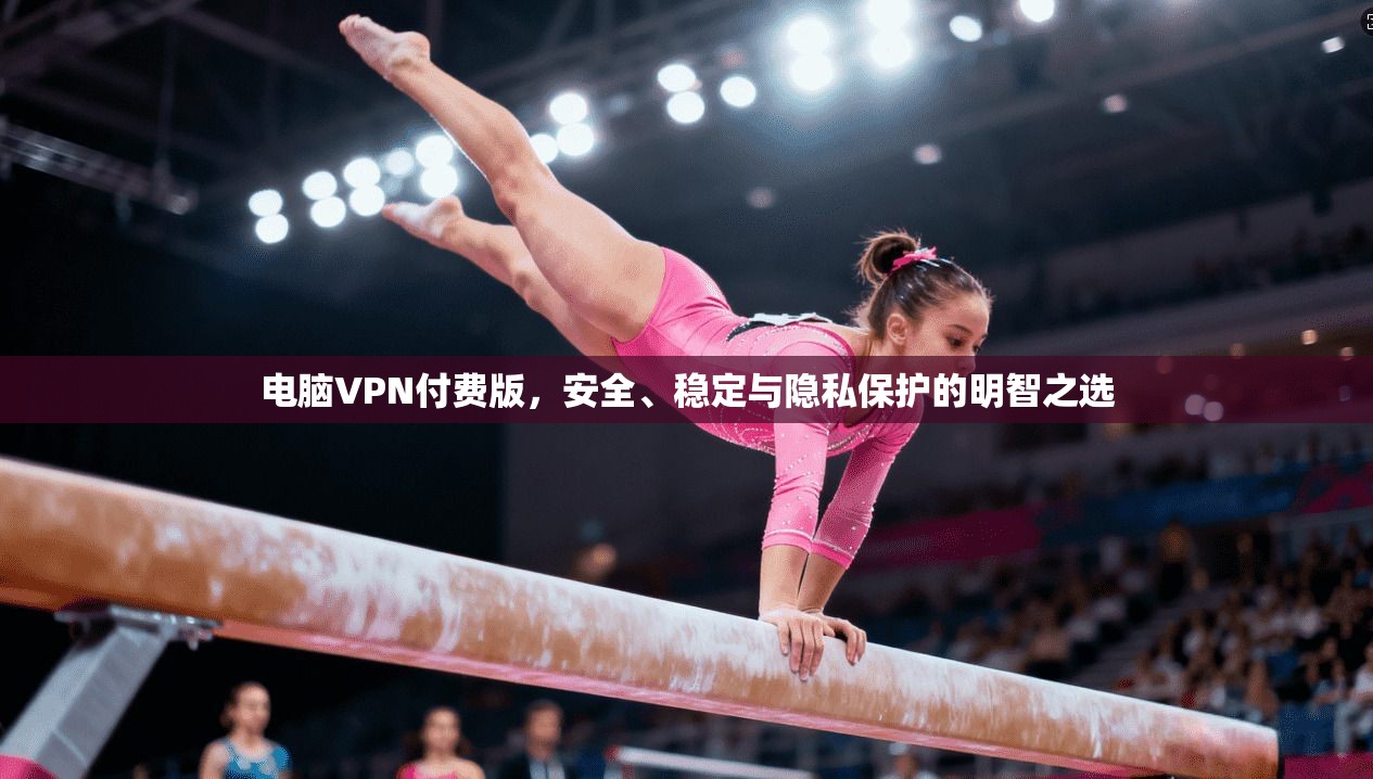 电脑VPN付费版，安全、稳定与隐私保护的明智之选