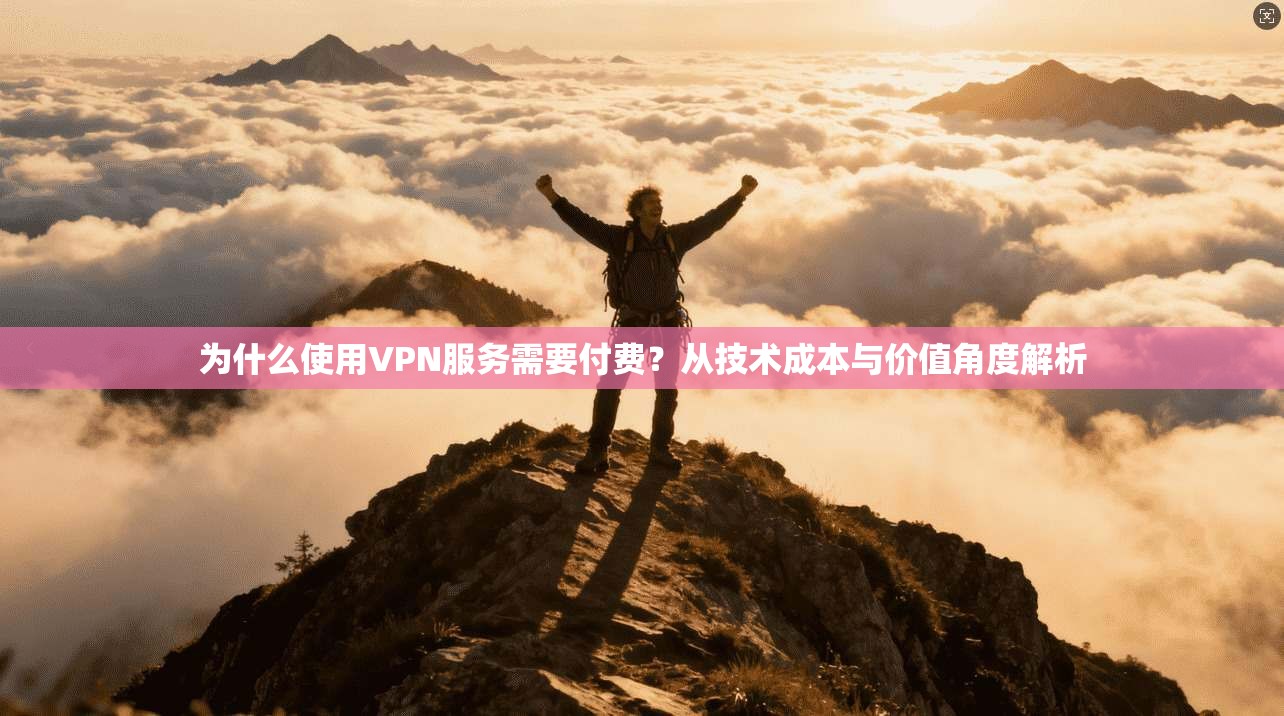 为什么使用VPN服务需要付费?从技术成本与价值角度解析