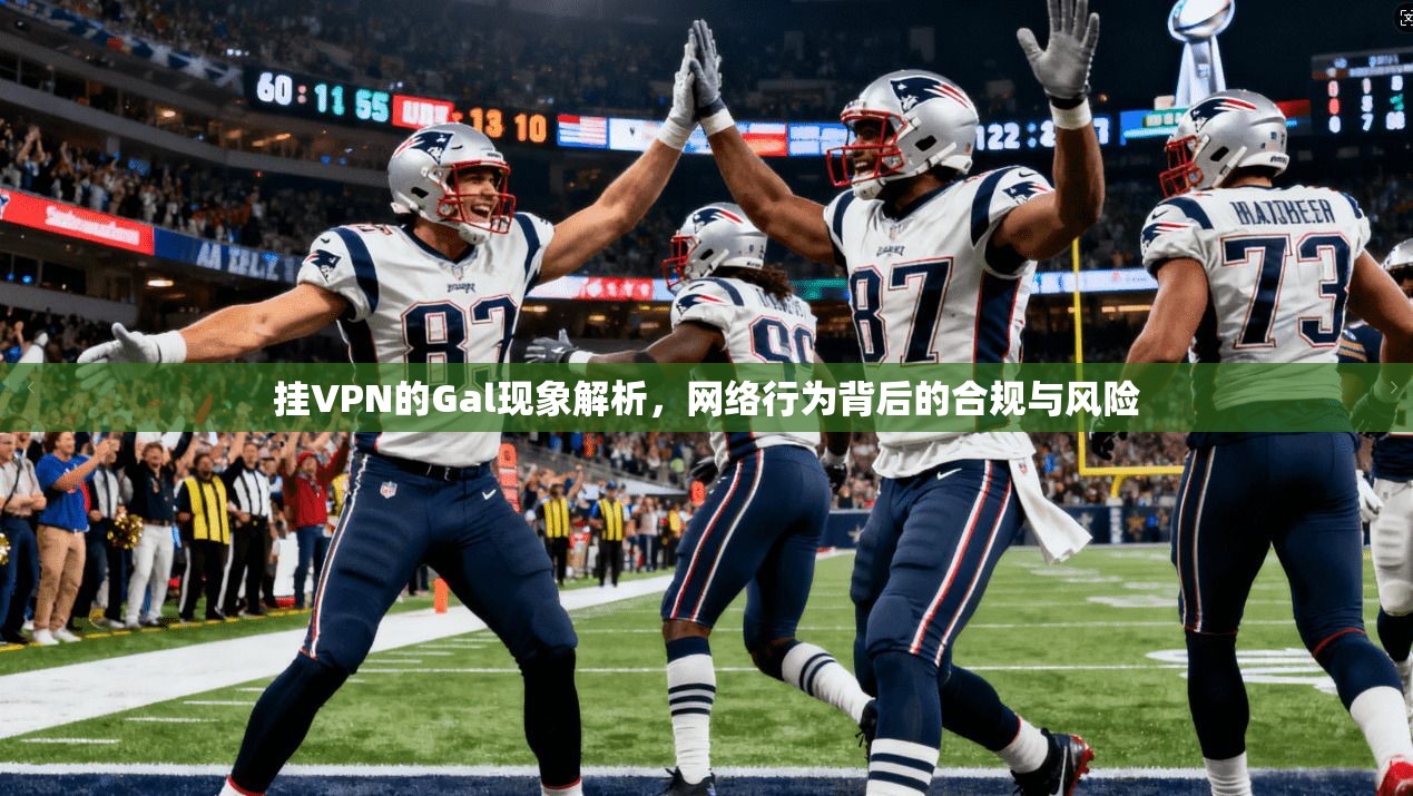 挂VPN的Gal现象解析,网络行为背后的合规与风险 挂VPN的Gal现象解析,网络行为背后的合规与风险