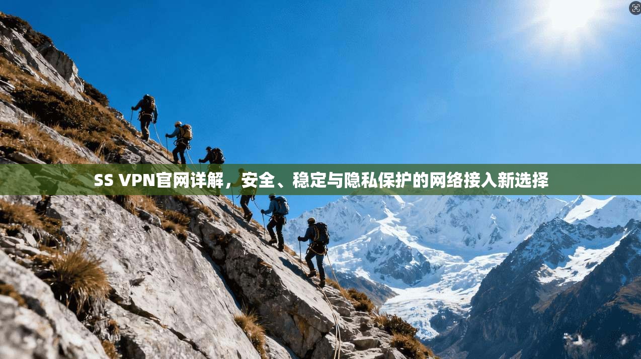 SS VPN官网详解，安全、稳定与隐私保护的网络接入新选择