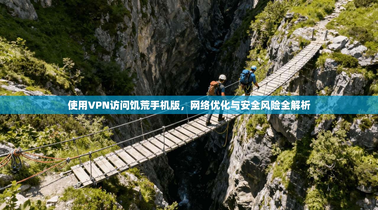 使用VPN访问饥荒手机版，网络优化与安全风险全解析