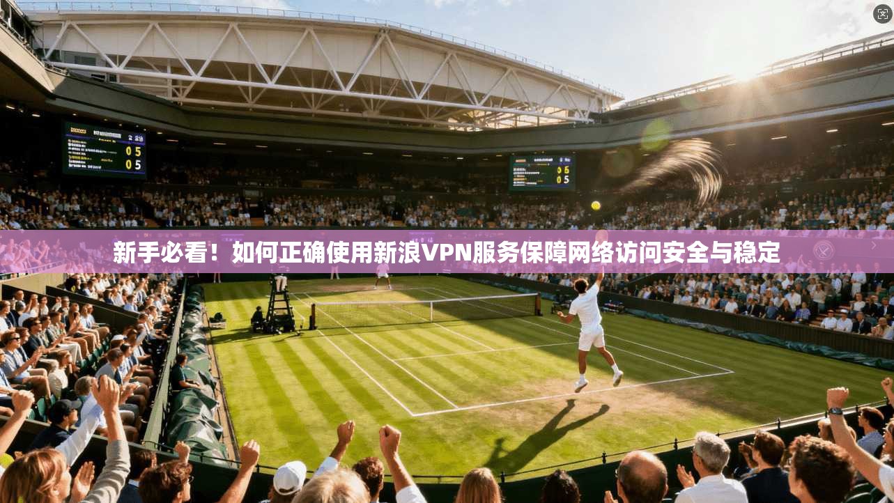 新手必看！如何正确使用新浪VPN服务保障网络访问安全与稳定