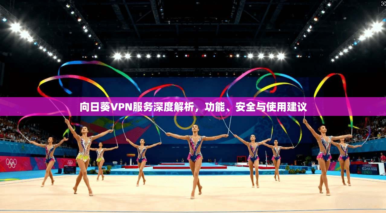 向日葵VPN服务深度解析，功能、安全与使用建议