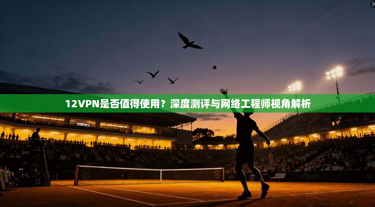 12VPN是否值得使用？深度测评与网络工程师视角解析