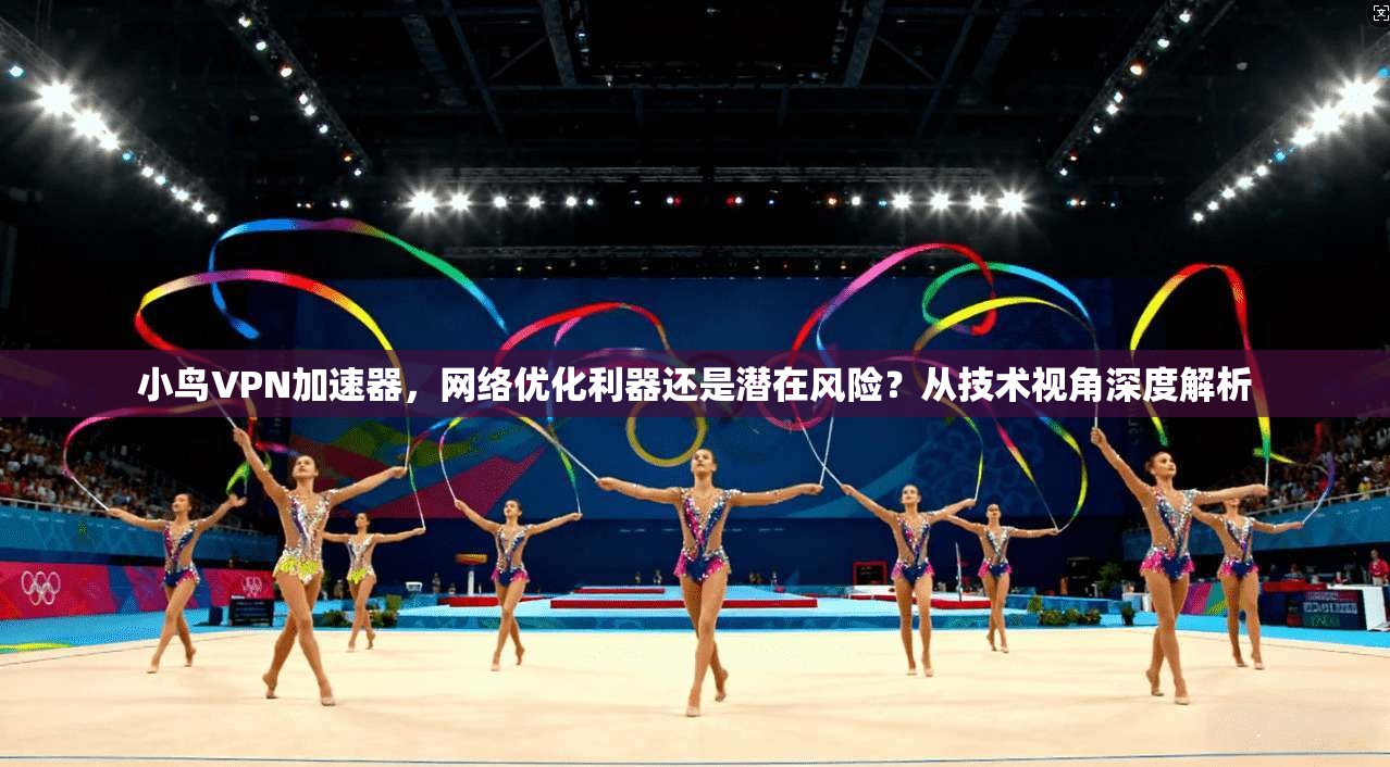 小鸟VPN加速器，网络优化利器还是潜在风险？从技术视角深度解析
