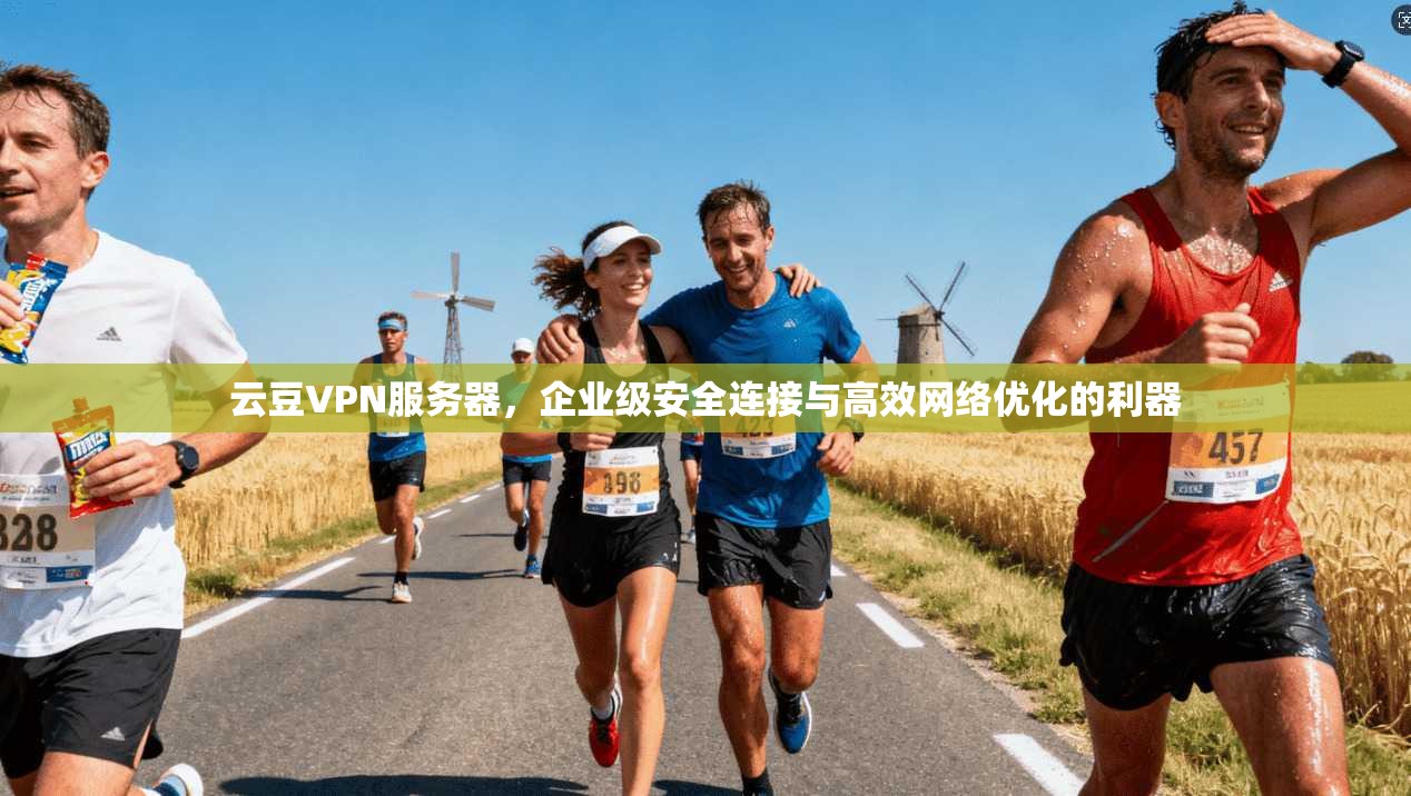 云豆VPN服务器,企业级安全连接与高效网络优化的利器