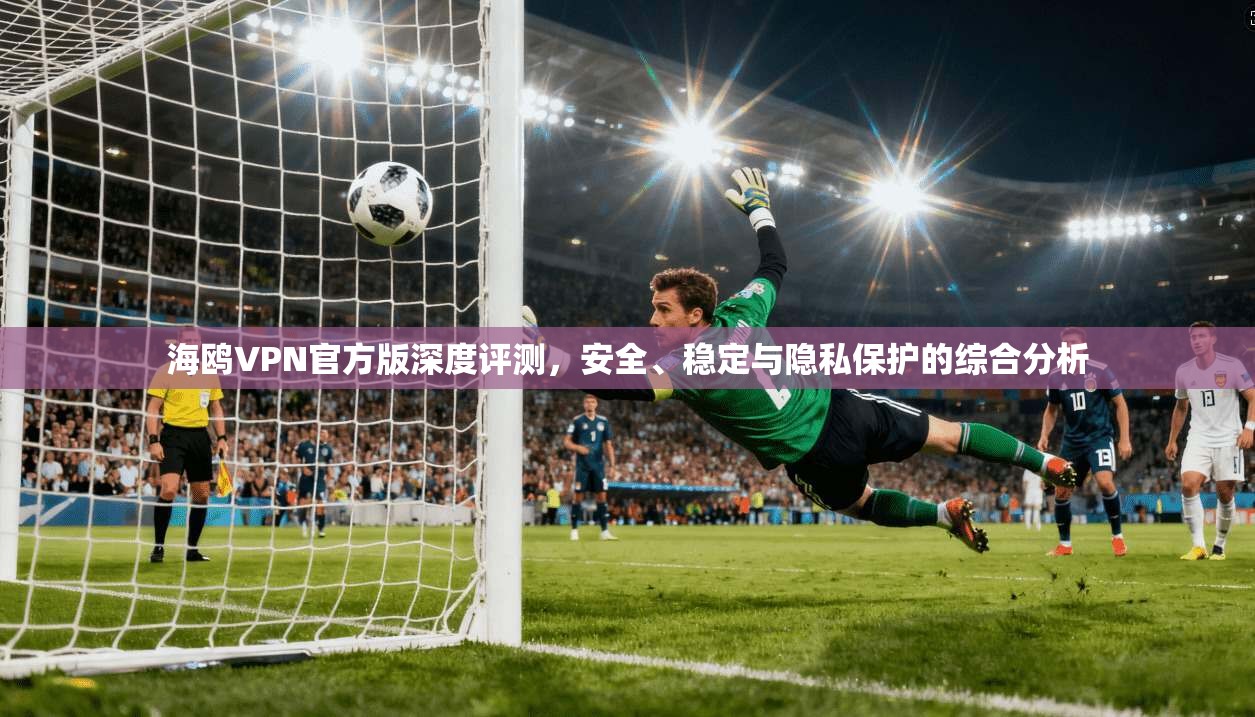 海鸥VPN官方版深度评测，安全、稳定与隐私保护的综合分析