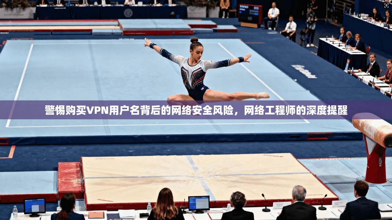 警惕购买VPN用户名背后的网络安全风险，网络工程师的深度提醒