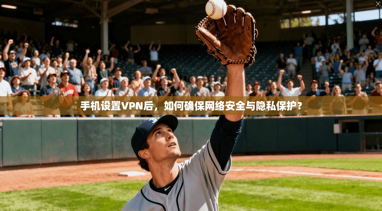 手机设置VPN后，如何确保网络安全与隐私保护？