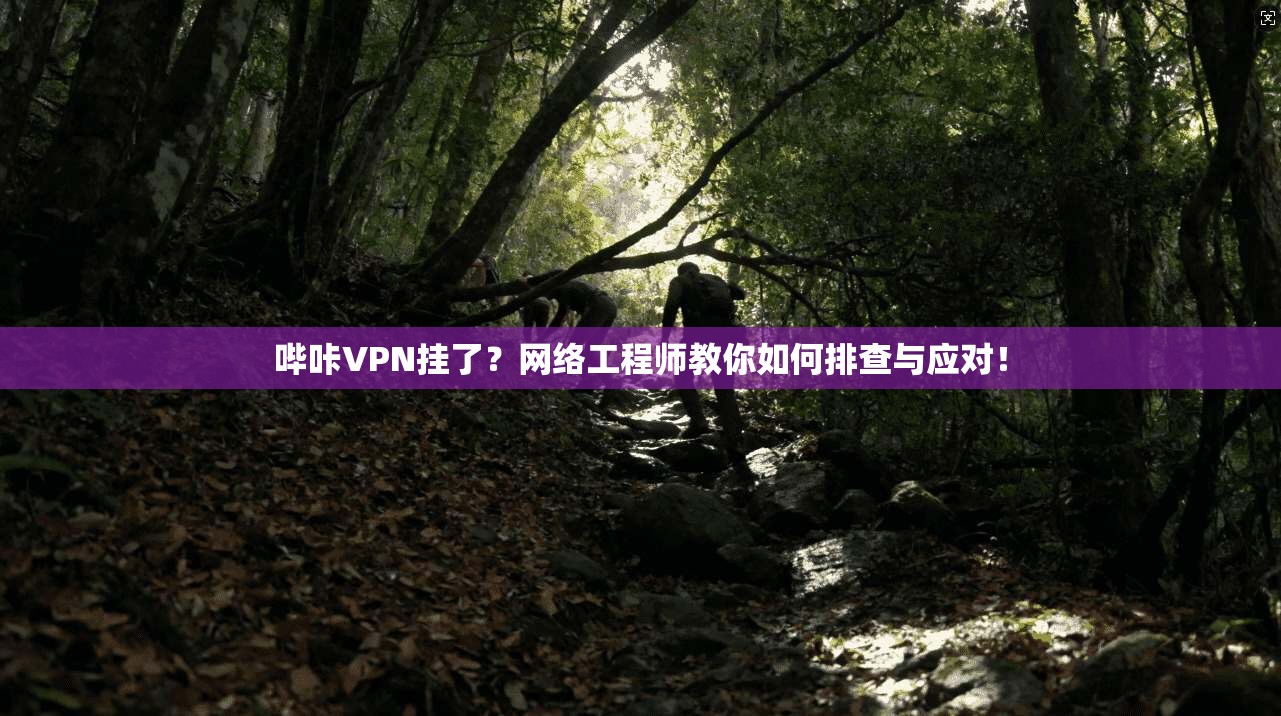 哔咔VPN挂了？网络工程师教你如何排查与应对！