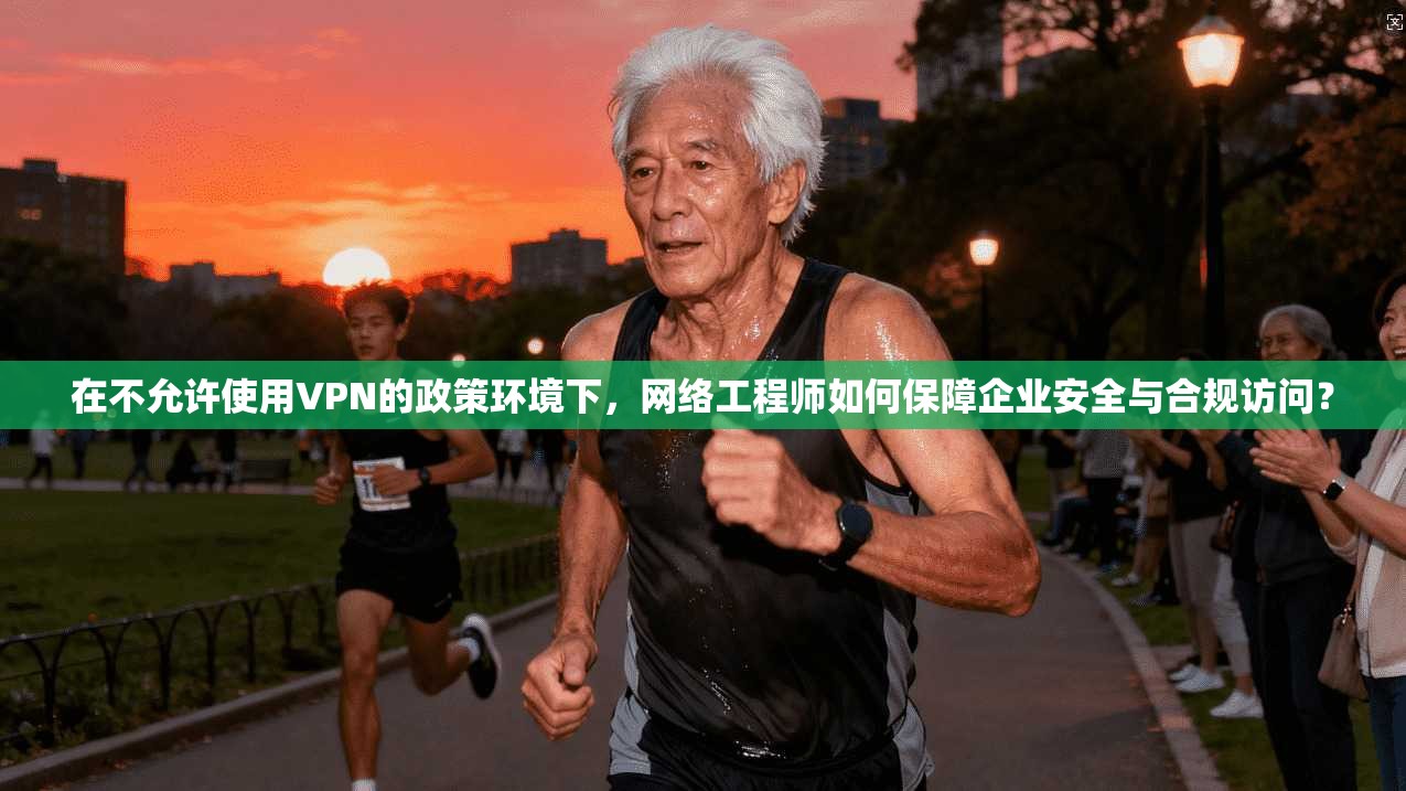 在不允许使用VPN的政策环境下，网络工程师如何保障企业安全与合规访问？