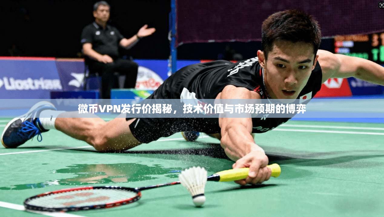 微币VPN发行价揭秘，技术价值与市场预期的博弈