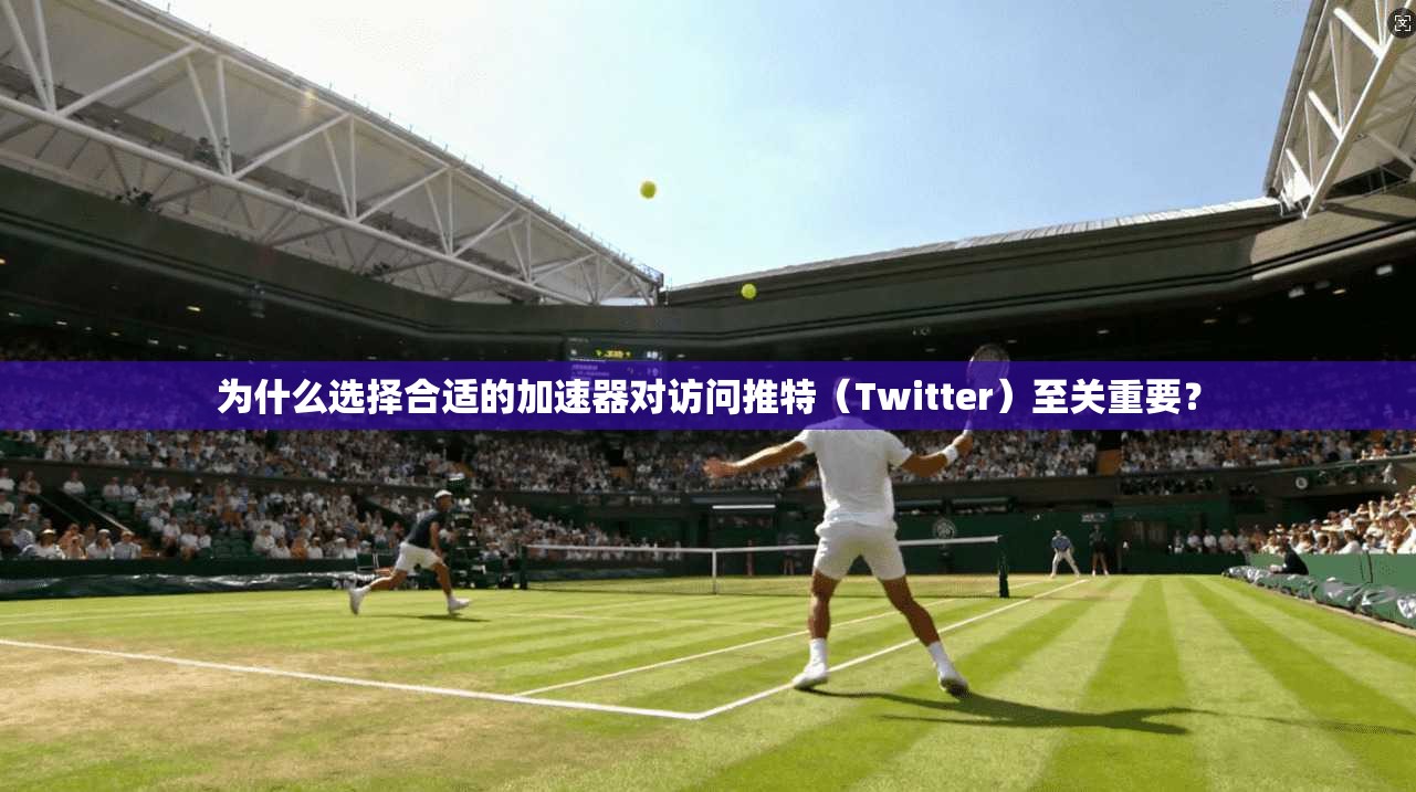 为什么选择合适的加速器对访问推特（Twitter）至关重要？