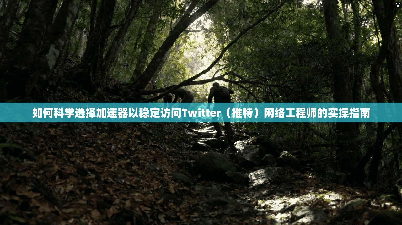 如何科学选择加速器以稳定访问Twitter(推特)网络工程师的实操指南 如何科学选择加速器以稳定访问Twitter(推特)网络工程师的实操指南