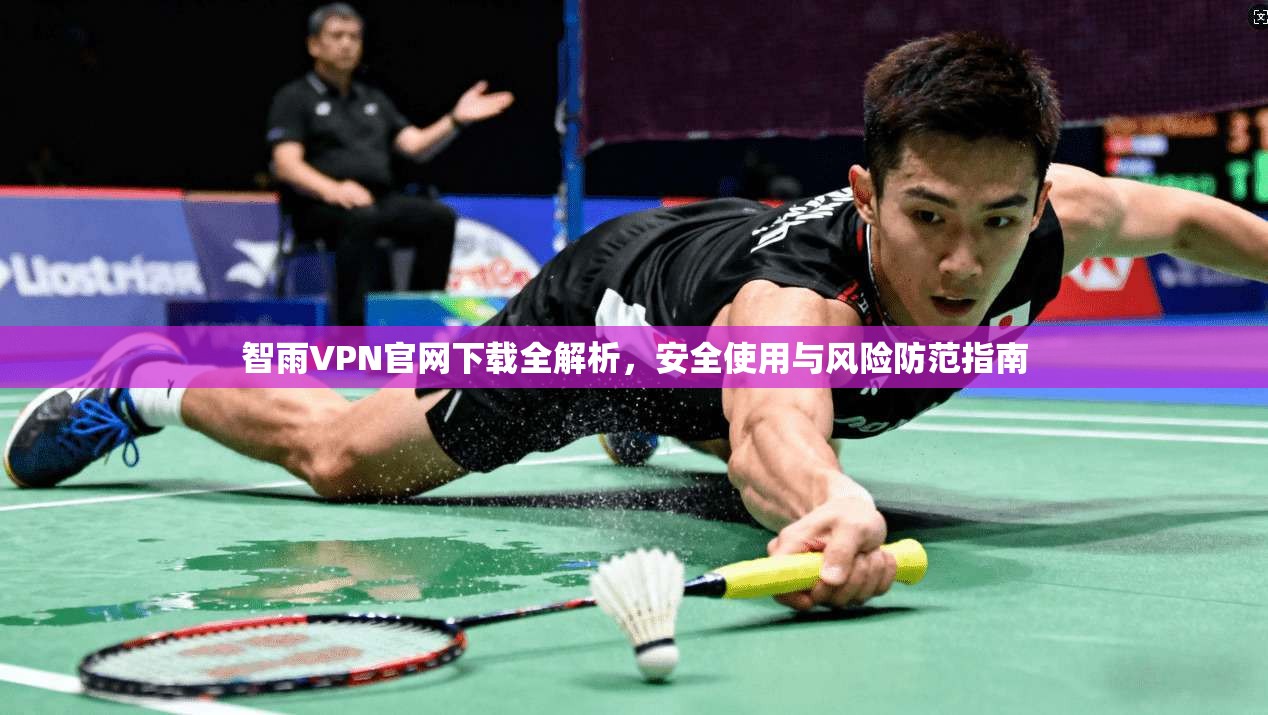 智雨VPN官网下载全解析，安全使用与风险防范指南