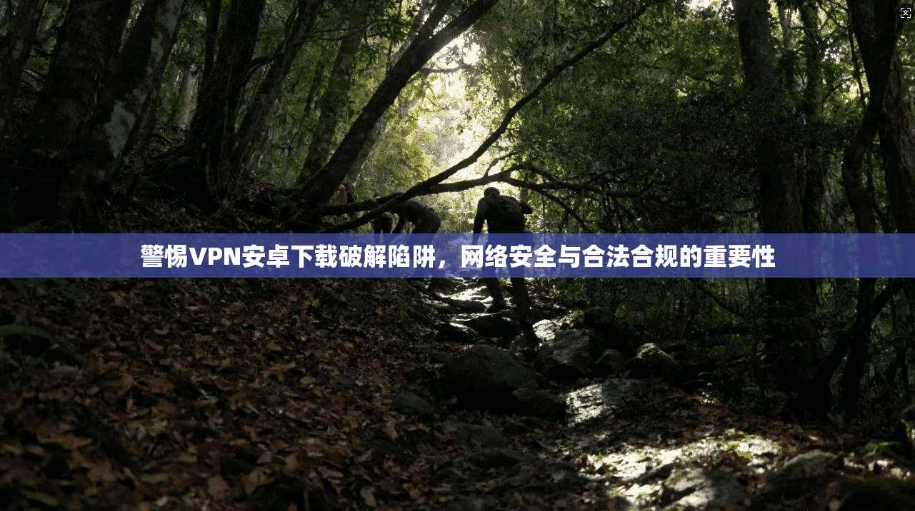 警惕VPN安卓下载破解陷阱，网络安全与合法合规的重要性
