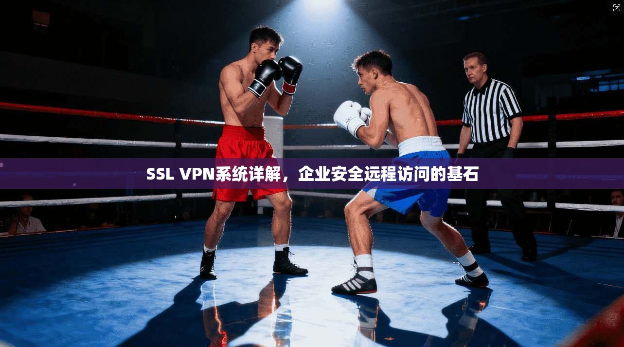 SSL VPN系统详解，企业安全远程访问的基石