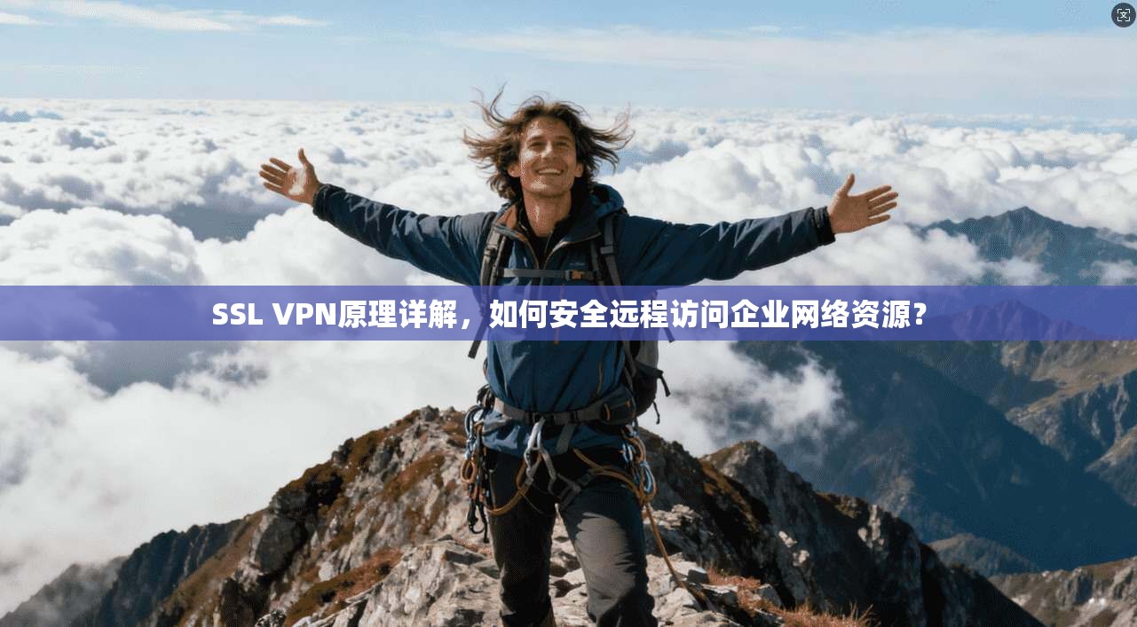 SSL VPN原理详解，如何安全远程访问企业网络资源？