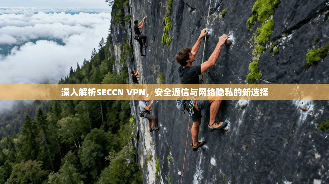 深入解析SECCN VPN，安全通信与网络隐私的新选择