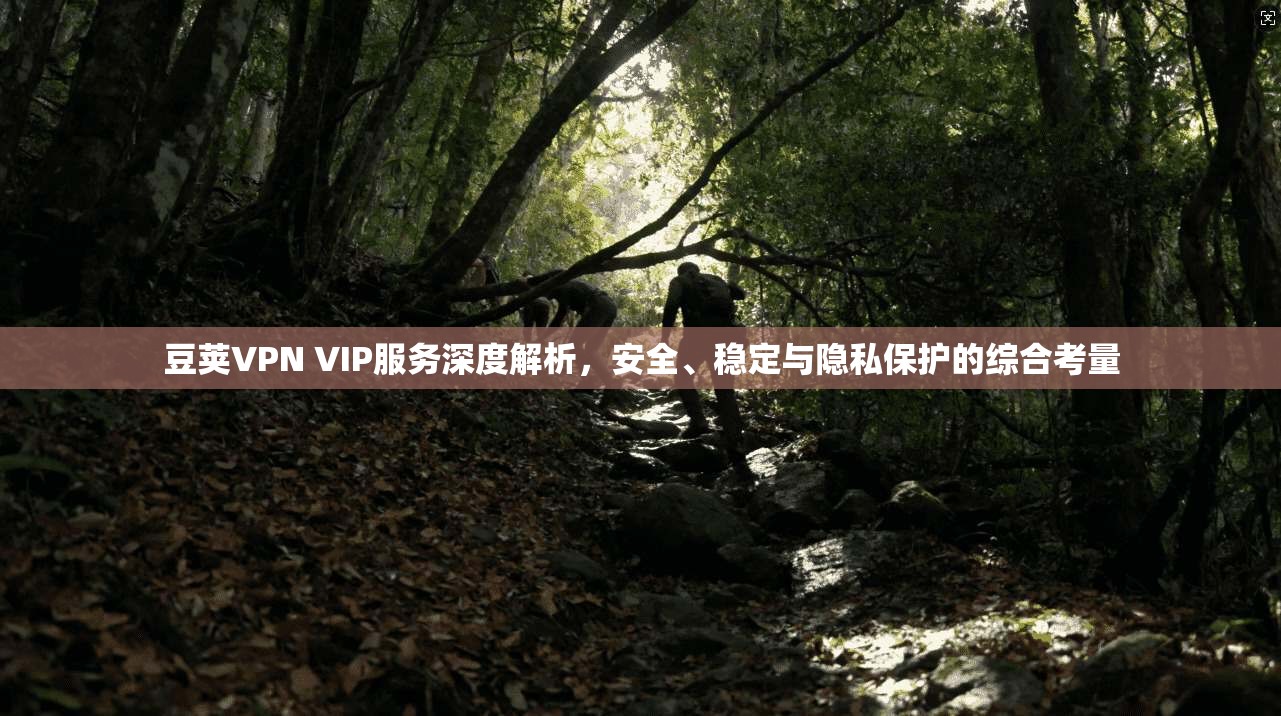 豆荚VPN VIP服务深度解析,安全、稳定与隐私保护的综合考量