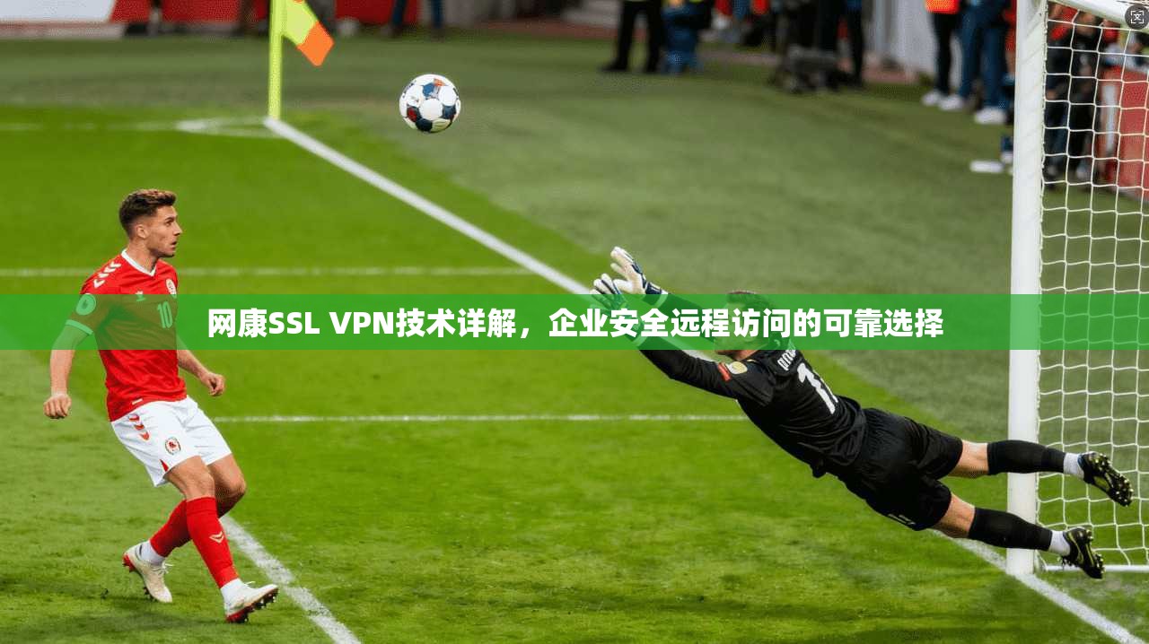 网康SSL VPN技术详解，企业安全远程访问的可靠选择